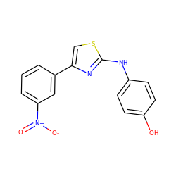 O=[N+]([O-])c1cccc(-c2csc(Nc3ccc(O)cc3)n2)c1 ZINC000000440786