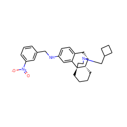 O=[N+]([O-])c1cccc(CNc2ccc3c(c2)[C@@]24CCCC[C@H]2[C@@H](C3)N(CC2CCC2)CC4)c1 ZINC000084654949