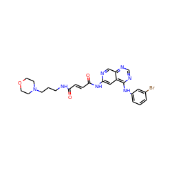 O=C(/C=C/C(=O)Nc1cc2c(Nc3cccc(Br)c3)ncnc2cn1)NCCCN1CCOCC1 ZINC000014944690