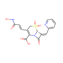 O=C(/C=C/C1=C(C(=O)O)N2C(=O)/C(=C/c3ccccn3)[C@H]2S(=O)(=O)C1)NO ZINC000013442967