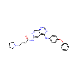 O=C(/C=C/CN1CCCC1)Nc1cc2c(Nc3ccc(Oc4ccccc4)cc3)ncnc2cn1 ZINC001772592220