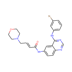 O=C(/C=C/CN1CCOCC1)Nc1ccc2ncnc(Nc3cccc(Br)c3)c2c1 ZINC000013863672