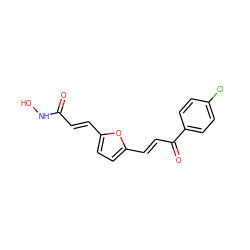 O=C(/C=C/c1ccc(/C=C/C(=O)c2ccc(Cl)cc2)o1)NO ZINC000040864789