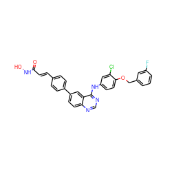 O=C(/C=C/c1ccc(-c2ccc3ncnc(Nc4ccc(OCc5cccc(F)c5)c(Cl)c4)c3c2)cc1)NO ZINC000066262642