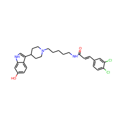 O=C(/C=C/c1ccc(Cl)c(Cl)c1)NCCCCCN1CCC(c2c[nH]c3cc(O)ccc23)CC1 ZINC000029479665