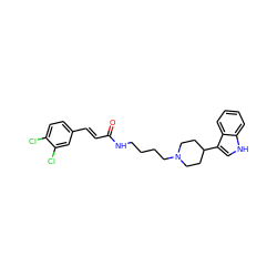 O=C(/C=C/c1ccc(Cl)c(Cl)c1)NCCCCN1CCC(c2c[nH]c3ccccc23)CC1 ZINC000029475223