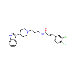 O=C(/C=C/c1ccc(Cl)c(Cl)c1)NCCCN1CCC(c2c[nH]c3ccccc23)CC1 ZINC000029474599