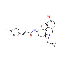 O=C(/C=C/c1ccc(Cl)cc1)N[C@@H]1CC[C@@]2(O)[C@H]3Cc4ccc(O)c5c4[C@@]2(CCN3CC2CC2)[C@H]1O5 ZINC000029411261