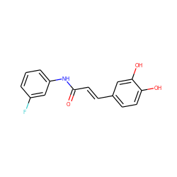 O=C(/C=C/c1ccc(O)c(O)c1)Nc1cccc(F)c1 ZINC000049802854