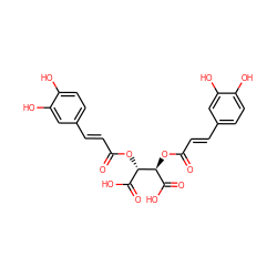 O=C(/C=C/c1ccc(O)c(O)c1)O[C@@H](C(=O)O)[C@@H](OC(=O)/C=C/c1ccc(O)c(O)c1)C(=O)O ZINC000004098726