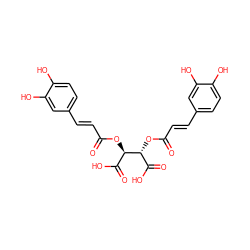 O=C(/C=C/c1ccc(O)c(O)c1)O[C@H](C(=O)O)[C@H](OC(=O)/C=C/c1ccc(O)c(O)c1)C(=O)O ZINC000004424205