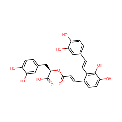 O=C(/C=C/c1ccc(O)c(O)c1/C=C/c1ccc(O)c(O)c1)O[C@H](Cc1ccc(O)c(O)c1)C(=O)O ZINC000004098737