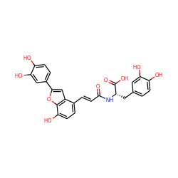 O=C(/C=C/c1ccc(O)c2oc(-c3ccc(O)c(O)c3)cc12)N[C@@H](Cc1ccc(O)c(O)c1)C(=O)O ZINC001772632257