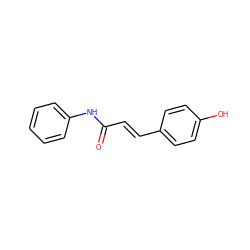 O=C(/C=C/c1ccc(O)cc1)Nc1ccccc1 ZINC000049803427