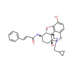 O=C(/C=C/c1ccccc1)N[C@@H]1CC[C@@]2(O)[C@H]3Cc4ccc(O)c5c4[C@@]2(CCN3CC2CC2)[C@H]1O5 ZINC000029405055