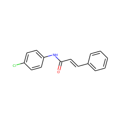 O=C(/C=C/c1ccccc1)Nc1ccc(Cl)cc1 ZINC000000242302