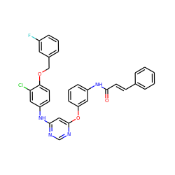 O=C(/C=C/c1ccccc1)Nc1cccc(Oc2cc(Nc3ccc(OCc4cccc(F)c4)c(Cl)c3)ncn2)c1 ZINC000082151750