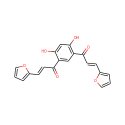 O=C(/C=C/c1ccco1)c1cc(C(=O)/C=C/c2ccco2)c(O)cc1O ZINC000026531000