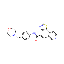 O=C(/C=C/c1cnccc1-c1cncs1)Nc1ccc(CN2CCOCC2)cc1 ZINC001772641062