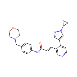 O=C(/C=C/c1cnccc1-c1cnn(C2CC2)c1)Nc1ccc(CN2CCOCC2)cc1 ZINC001772606432