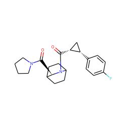 O=C([C@@H]1C2CCC(CC2)N1C(=O)[C@@H]1C[C@@H]1c1ccc(F)cc1)N1CCCC1 ZINC000026473093