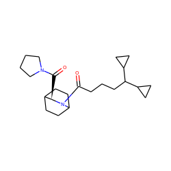 O=C([C@@H]1C2CCC(CC2)N1C(=O)CCCC(C1CC1)C1CC1)N1CCCC1 ZINC000013756419