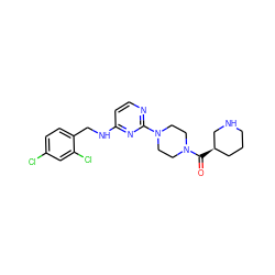 O=C([C@@H]1CCCNC1)N1CCN(c2nccc(NCc3ccc(Cl)cc3Cl)n2)CC1 ZINC000028566472