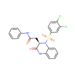 O=C(C[C@@H]1C(=O)Nc2ccccc2N1S(=O)(=O)c1ccc(Cl)c(Cl)c1)Nc1ccccc1 ZINC000084634839