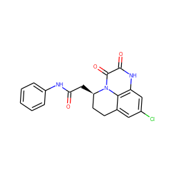 O=C(C[C@@H]1CCc2cc(Cl)cc3[nH]c(=O)c(=O)n1c23)Nc1ccccc1 ZINC000029333562