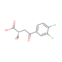 O=C(C[C@H](O)C(=O)O)c1ccc(Cl)c(Cl)c1 ZINC000013546618