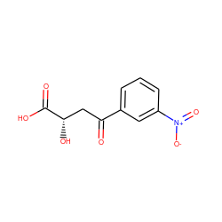 O=C(C[C@H](O)C(=O)O)c1cccc([N+](=O)[O-])c1 ZINC000026738066