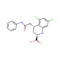 O=C(C[C@H]1C[C@H](C(=O)O)Nc2cc(Cl)cc(Cl)c21)Nc1ccccc1 ZINC000013455350