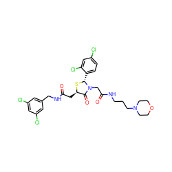 O=C(C[C@H]1S[C@H](c2ccc(Cl)cc2Cl)N(CC(=O)NCCCN2CCOCC2)C1=O)NCc1cc(Cl)cc(Cl)c1 ZINC000029391902