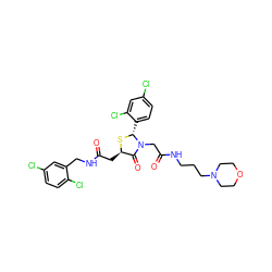 O=C(C[C@H]1S[C@H](c2ccc(Cl)cc2Cl)N(CC(=O)NCCCN2CCOCC2)C1=O)NCc1cc(Cl)ccc1Cl ZINC000029389403