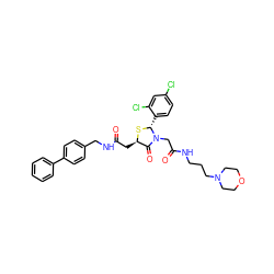 O=C(C[C@H]1S[C@H](c2ccc(Cl)cc2Cl)N(CC(=O)NCCCN2CCOCC2)C1=O)NCc1ccc(-c2ccccc2)cc1 ZINC000029398181