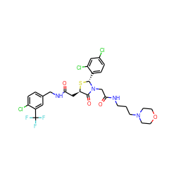 O=C(C[C@H]1S[C@H](c2ccc(Cl)cc2Cl)N(CC(=O)NCCCN2CCOCC2)C1=O)NCc1ccc(Cl)c(C(F)(F)F)c1 ZINC000029398197