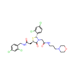 O=C(C[C@H]1S[C@H](c2ccc(Cl)cc2Cl)N(CC(=O)NCCCN2CCOCC2)C1=O)NCc1ccc(Cl)cc1Cl ZINC000029392203