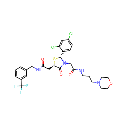 O=C(C[C@H]1S[C@H](c2ccc(Cl)cc2Cl)N(CC(=O)NCCCN2CCOCC2)C1=O)NCc1cccc(C(F)(F)F)c1 ZINC000029389814