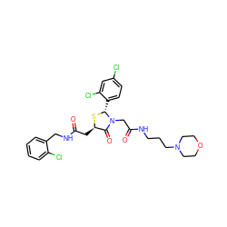 O=C(C[C@H]1S[C@H](c2ccc(Cl)cc2Cl)N(CC(=O)NCCCN2CCOCC2)C1=O)NCc1ccccc1Cl ZINC000029393500