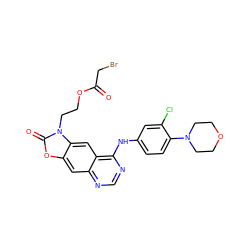 O=C(CBr)OCCn1c(=O)oc2cc3ncnc(Nc4ccc(N5CCOCC5)c(Cl)c4)c3cc21 ZINC001772643568