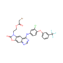 O=C(CBr)OCCn1c(=O)oc2cc3ncnc(Nc4ccc(Oc5cccc(C(F)(F)F)c5)c(Cl)c4)c3cc21 ZINC001772626393