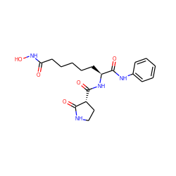 O=C(CCCCC[C@H](NC(=O)[C@@H]1CCNC1=O)C(=O)Nc1ccccc1)NO ZINC000103232987