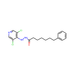 O=C(CCCCCCc1ccccc1)NNc1c(Cl)cncc1Cl ZINC000084654753