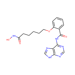 O=C(CCCCCOc1ccccc1C(=O)Nc1ncnc2[nH]cnc12)NO ZINC001772640668