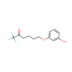 O=C(CCCCOc1cccc(O)c1)C(F)(F)F ZINC000115390216