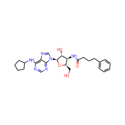 O=C(CCCc1ccccc1)N[C@H]1[C@@H](CO)O[C@@H](n2cnc3c(NC4CCCC4)ncnc32)[C@@H]1O ZINC000013766388