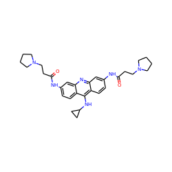 O=C(CCN1CCCC1)Nc1ccc2c(NC3CC3)c3ccc(NC(=O)CCN4CCCC4)cc3nc2c1 ZINC000013527902