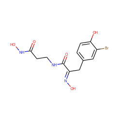 O=C(CCNC(=O)/C(Cc1ccc(O)c(Br)c1)=N/O)NO ZINC000044091411