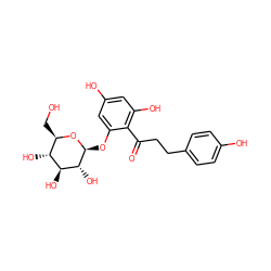 O=C(CCc1ccc(O)cc1)c1c(O)cc(O)cc1O[C@@H]1O[C@H](CO)[C@@H](O)[C@H](O)[C@H]1O ZINC000003875408