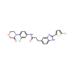 O=C(CCc1ccc2[nH]c(-c3ccc(Cl)s3)nc2c1)Nc1ccc(N2CCOCC2=O)c(Cl)c1 ZINC000027208565